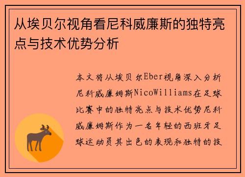 从埃贝尔视角看尼科威廉斯的独特亮点与技术优势分析