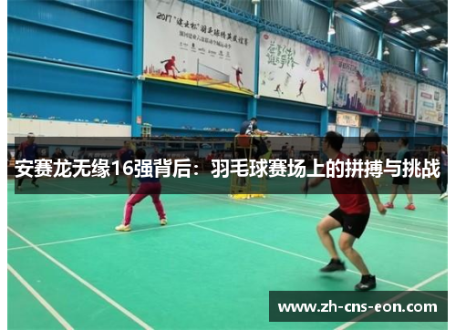 安赛龙无缘16强背后：羽毛球赛场上的拼搏与挑战