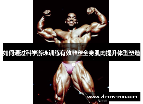 如何通过科学游泳训练有效雕塑全身肌肉提升体型塑造