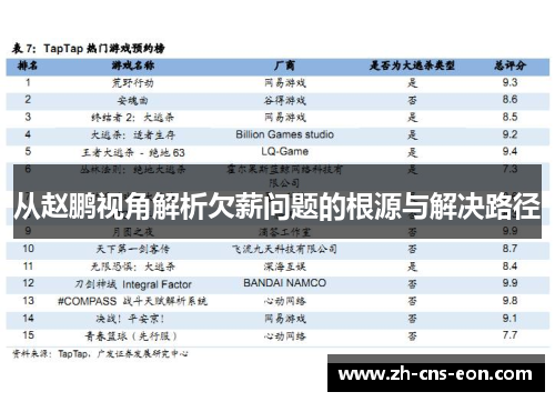 从赵鹏视角解析欠薪问题的根源与解决路径
