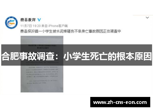 合肥事故调查：小学生死亡的根本原因