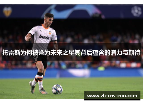 托雷斯为何被誉为未来之星其背后蕴含的潜力与期待